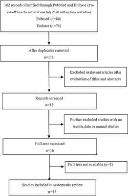 Primary Aldosteronism and Bone Metabolism: A Systematic Review and Meta-Analysis